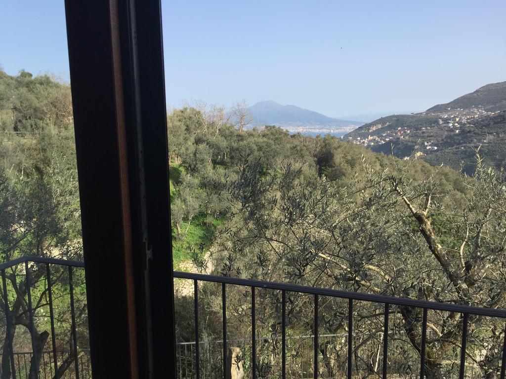 Il Casale Del Mirto Villa วีโกเอเกวนเซ ภายนอก รูปภาพ