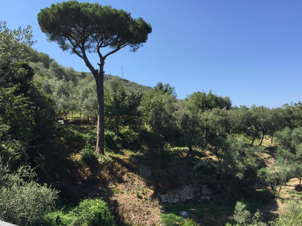 Il Casale Del Mirto Villa วีโกเอเกวนเซ ภายนอก รูปภาพ